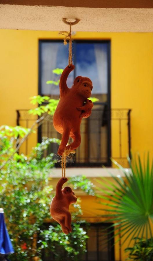 Casa Gecko Hotell Oaxaca Eksteriør bilde